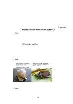 Research Papers 'Metodisko materiālu portfolio dabaszinībās', 29.