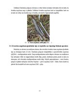 Practice Reports 'Ilzeskalna poligona ģeoloģiskā uzbūve, reljefs un mūsdienu ģeoloģiskie procesi', 13.