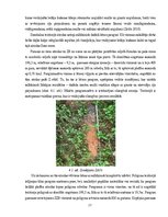 Practice Reports 'Ilzeskalna poligona ģeoloģiskā uzbūve, reljefs un mūsdienu ģeoloģiskie procesi', 17.