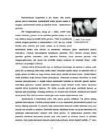 Research Papers 'Endodontijas ierīces', 6.