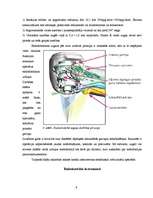Research Papers 'Endodontijas ierīces', 9.