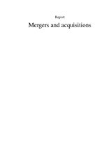 Summaries, Notes 'Mergers and Acquisitions', 1.