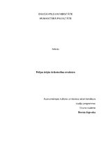 Research Papers 'Polijas ārējās tirdziecības struktūra', 1.