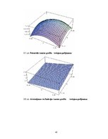 Term Papers 'Mezglu metode 2D Šredingera tipa vienādojuma skaitliskajiem aprēķiniem', 47.
