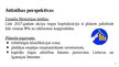 Presentations 'Latvijas akciju tirgus analīze', 11.