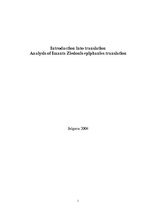 Research Papers 'Analysis of Imants Ziedonis Epiphanies Translation', 1.