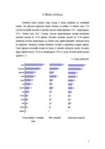 Research Papers 'Sieviešu zeķu/zeķbikšu tirgus pētījums Latvijā', 7.