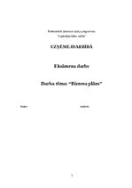 Business Plans 'Biznesa plāns uzņēmējdarbībā', 1.