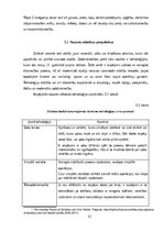Business Plans 'Biznesa plāns uzņēmējdarbībā', 12.