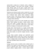 Essays 'Socioloģija: sabiedrības struktūra, sociālās attiecības un pārmaiņu dinamika”', 5.