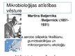 Presentations 'Mikrobioloģijas attīstības vēsture', 12.
