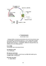 Summaries, Notes 'Medicīniskā parazitoloģija', 26.