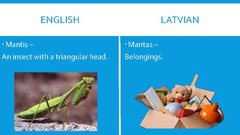 Presentations 'English-Latvian False Friends', 15.