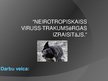 Presentations 'Neirotropiskaiss vīruss - trakumsērgas izraisītājs', 1.