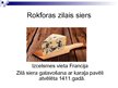 Presentations 'Rokforas zilais siers', 3.