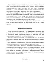Research Papers 'J.Vītola kordziesmas analīze  - Karaļmeita', 10.