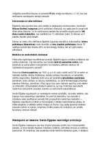Summaries, Notes 'Seno ēģiptiešu vēsture, kultūra, mitoloģija, sabiedrība un kultūras mantojums', 14.