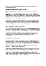Summaries, Notes 'Seno ēģiptiešu vēsture, kultūra, mitoloģija, sabiedrība un kultūras mantojums', 19.