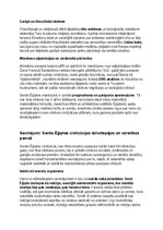 Summaries, Notes 'Seno ēģiptiešu vēsture, kultūra, mitoloģija, sabiedrība un kultūras mantojums', 38.
