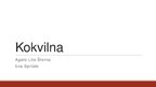 Presentations 'Kokvilna', 1.