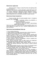 Research Papers 'Satversmes tiesa - konstitūcija', 7.