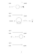 Samples 'Darbs ar stereopāri un apvidus stereomodeli', 2.