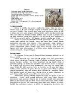 Research Papers 'Zebras', 4.