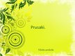 Presentations 'Prusaki', 1.