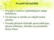 Presentations 'Prusaki', 7.