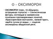 Presentations 'Русская литература от А до Я', 17.