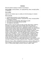 Research Papers 'The demand of technical translation these days', 3.