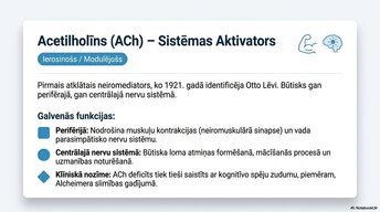 Presentations 'Smadzeņu ķīmiskā arhitektūra', 5.