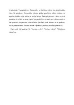 Research Papers 'Izstāžu/gadatirgu raksturojums un tendences Rīgā', 7.