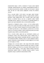 Essays 'Sirds un asinsvadu sistēmas anatomija un funkcijas: dzimumu atšķirības un klīnis', 2.