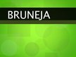 Presentations 'Bruneja', 1.