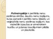 Presentations 'Polineiropātija. Fizioterpijas iespējas', 2.