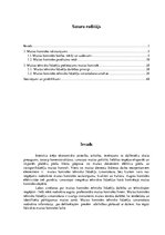 Term Papers 'Muitas kontroles tehnisko līdzekļu izmantošanas analīze Grebņevas muitas kontrol', 3.