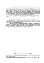 Term Papers 'Muitas kontroles tehnisko līdzekļu izmantošanas analīze Grebņevas muitas kontrol', 15.