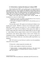 Term Papers 'Muitas kontroles tehnisko līdzekļu izmantošanas analīze Grebņevas muitas kontrol', 16.