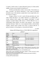 Term Papers 'Muitas kontroles tehnisko līdzekļu izmantošanas analīze Grebņevas muitas kontrol', 21.