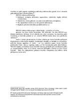 Term Papers 'Muitas kontroles tehnisko līdzekļu izmantošanas analīze Grebņevas muitas kontrol', 47.