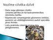 Presentations 'Gliemji, gliemeži', 11.