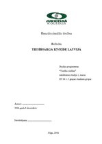 Research Papers 'Tiesībsarga izveide Latvijā', 1.