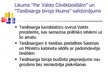 Research Papers 'Tiesībsarga izveide Latvijā', 38.