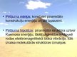 Presentations 'Piramīda - enerģētiska konstrukcija', 10.