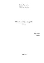 Research Papers 'Miokarda perfūzijas scintigrāfija', 1.