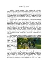 Essays '"Dvēseļu putenis" filmas analīze', 1.