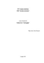 Essays 'Kā zināšanas par andragoģiju var kalpot kā resurss sociālā darbinieka profesionā', 1.