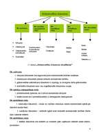 Term Papers 'Grāmatvedības dokumentu klasifikācija un organizācija uzņēmumā SIA ”X”', 6.