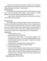 Term Papers 'Grāmatvedības dokumentu klasifikācija un organizācija uzņēmumā SIA ”X”', 7.
